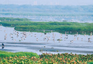 farmers-in-rural-areas