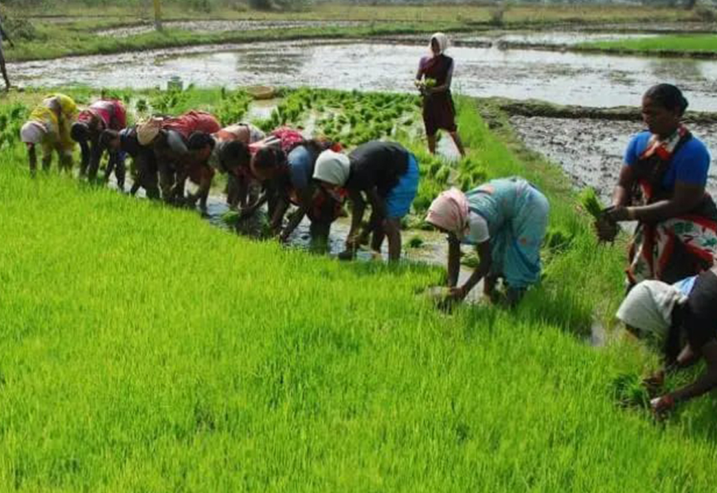 farmers-in-rural-areas