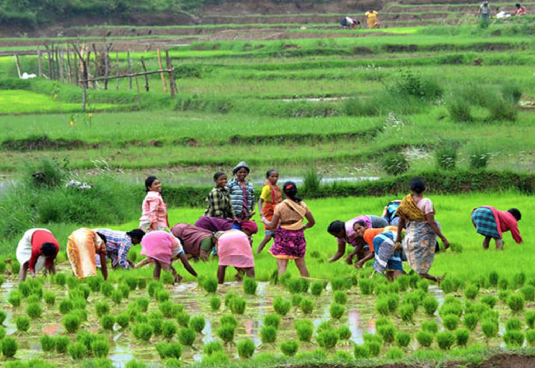 farmers-in-rural-areas